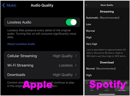 apple music vs spotify audio quality