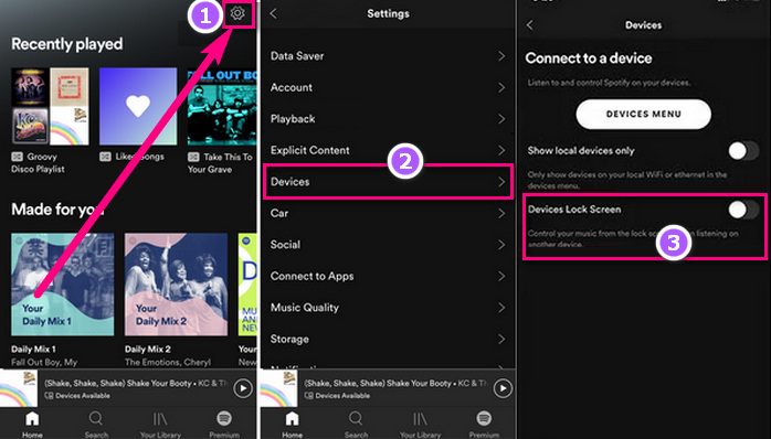disable spotify connect