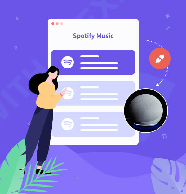 Play Spotify on Alexa