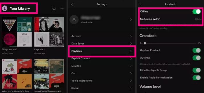 switch spotify to online mode