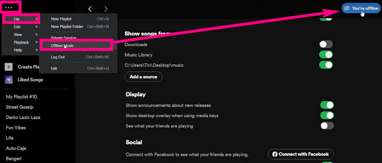 turn on spotify offline mode windows