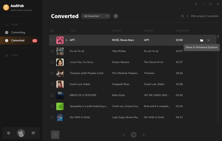 Converted spotify music